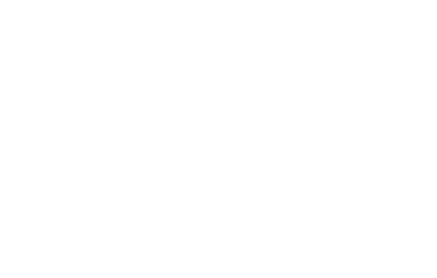 Everton Fanatics Licensing Management